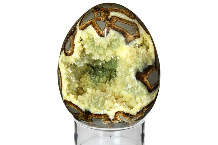 Calcite Crystal Filled Septarian Geode Egg - Utah #114329